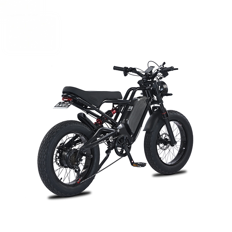 RRE QQA 13Ah lithiumbatterij,  - 48V 1500W Rear Hub Motor With Battery recensie en prijs